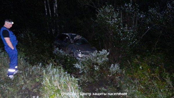 Ночное столкновение автомобиля  с лошадью произошло в районе Покровки