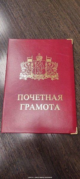  Глава города  вручил почетную грамоту  Губернатора Свердловской области начальнику  поисково-спасательной  службы