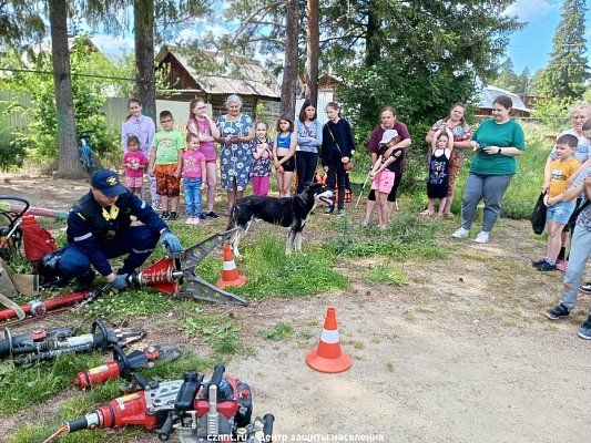 Спасатели провели мастер-класс для  детворы из ТОС «Нижняя Черемшанка»