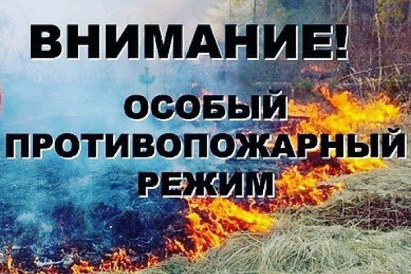 С 7 апреля 2023года на территории муниципального образования город Нижний Тагил установлен особый противопожарный режим