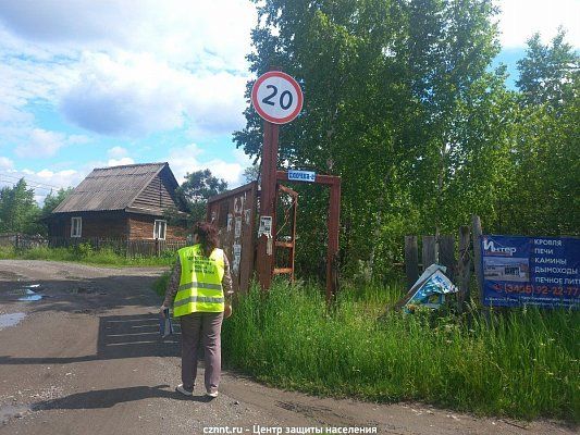 Рейды в коллективных садах  «Елочка-1», «Елочка-2» и «Роща»