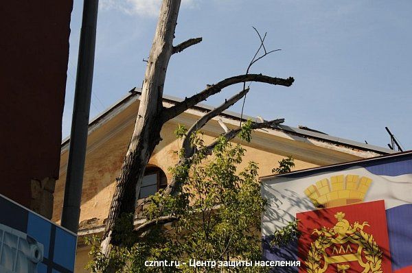 Ветка дерева упала на крышу  дома