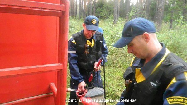Спасатели и пожарные тушили лесной  пожар в районе Муринских прудов