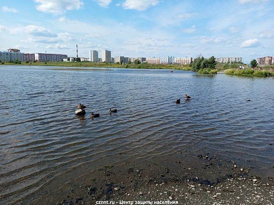 Совместный  профилактический  рейд прошел по берегам Выйского и Муринских прудов