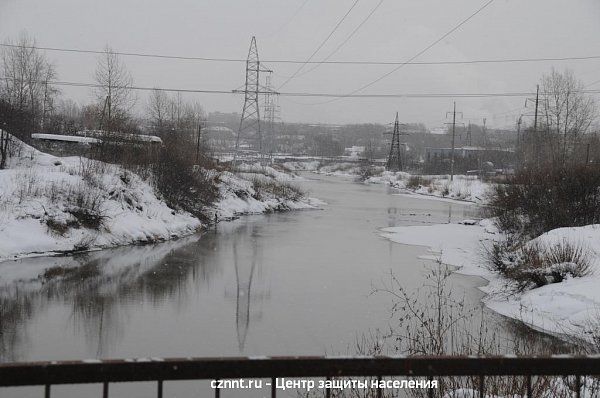 Вид на реку Тагил  с моста на ул. Лебяжинская